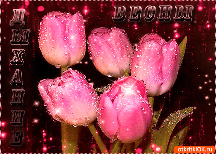 Картинка дыхание весны