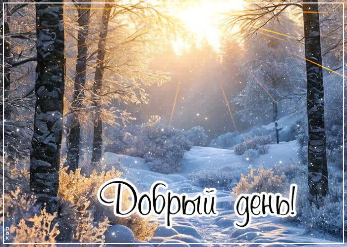 Picture дивная снежная открытка добрый день