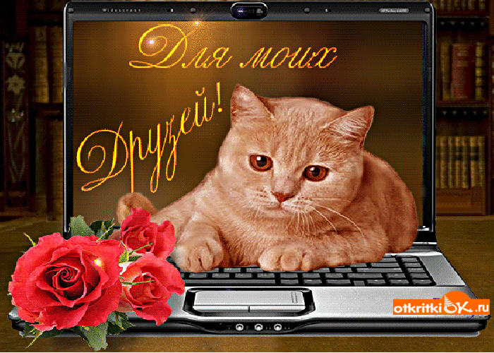 Открытка для моих друзей гиф открытка