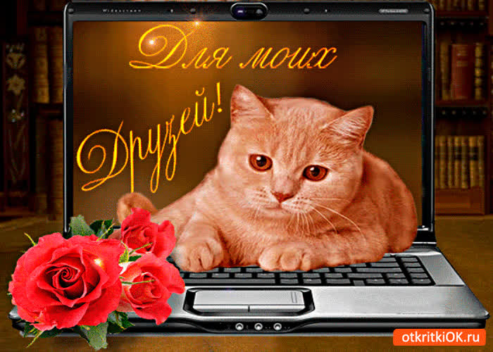 Картинка для моих виртуальных друзей