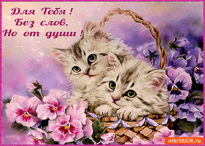 Картинка для тебя без слов но от души