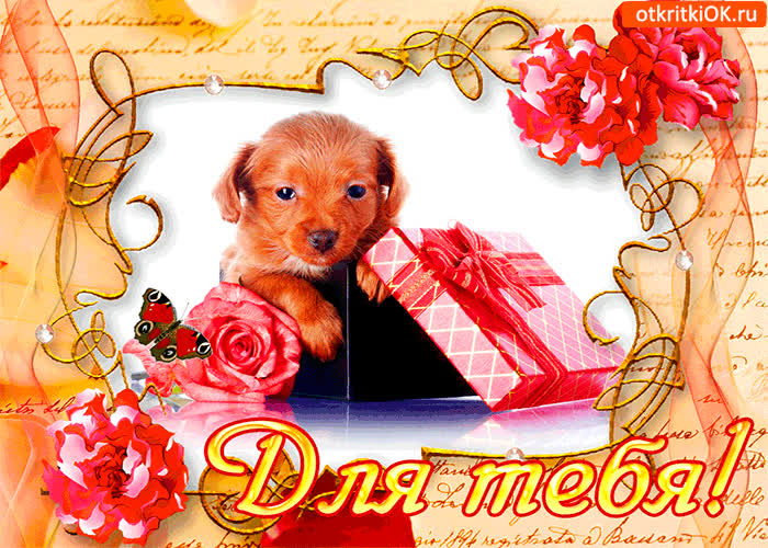 Картинка для тебя друг мой прекрасный