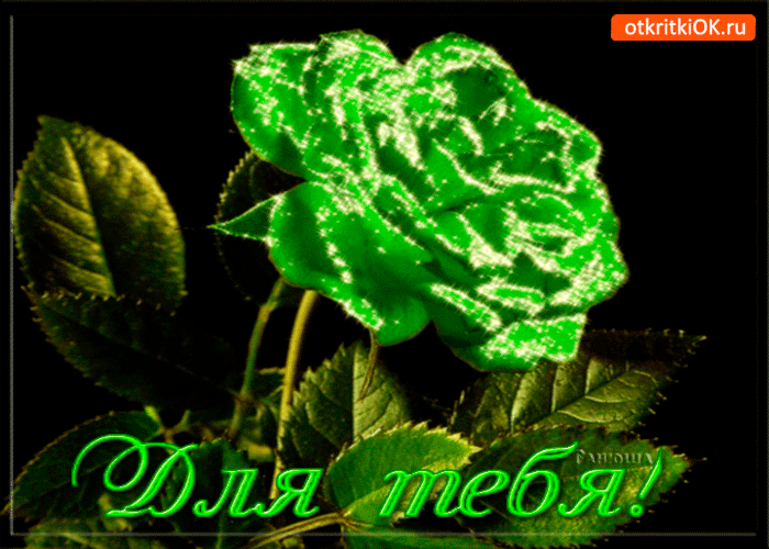 Картинка для тебя необычная роза