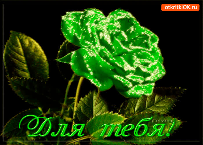 Картинка для тебя необычная роза
