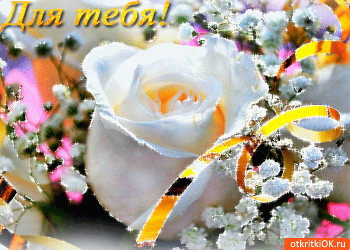 Открытка для тебя цветочек от меня