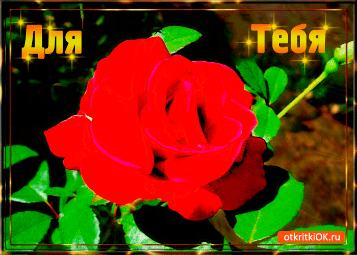 Открытка для тебя цветочек