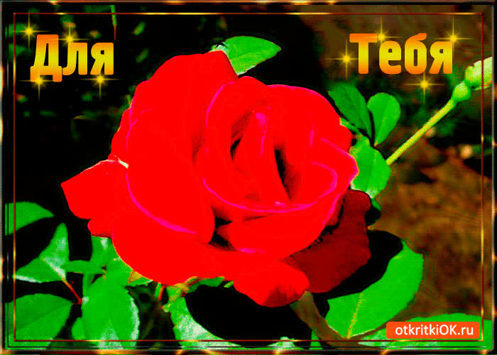 Картинка для тебя цветочек