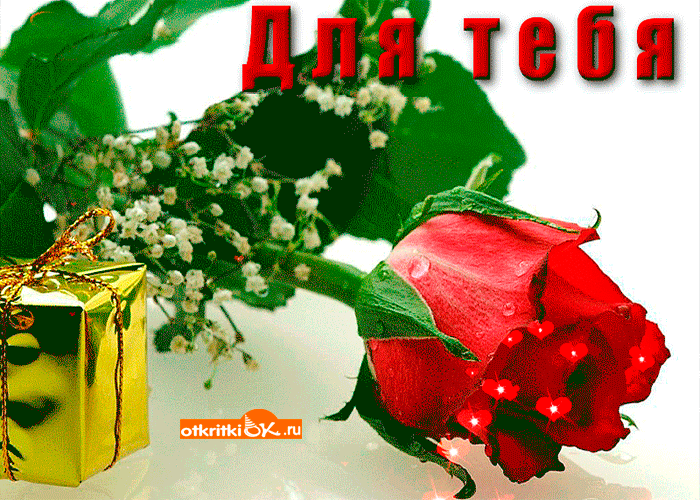 Картинка для тебя цветок любви