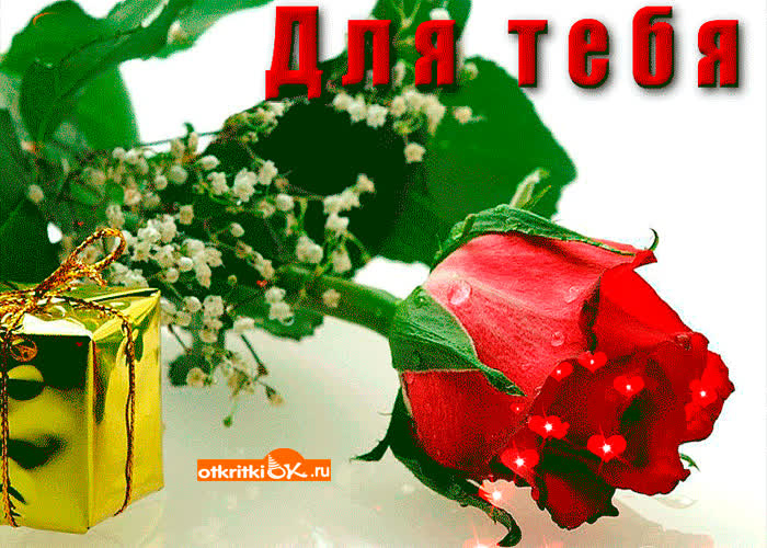 Картинка для тебя цветок любви