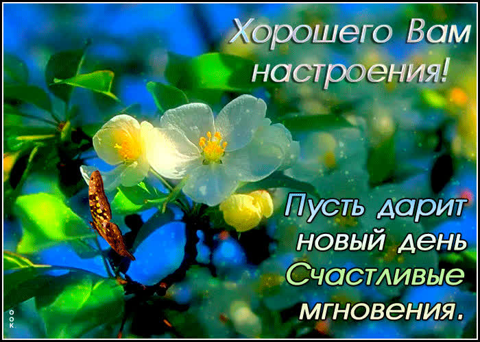 Картинка для хорошего настроения