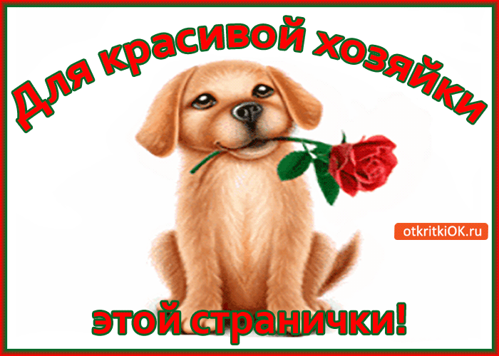 Картинка для красивой хозяйки этой странички!