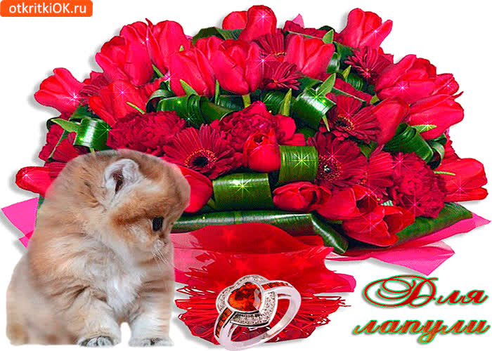Картинка для лапули