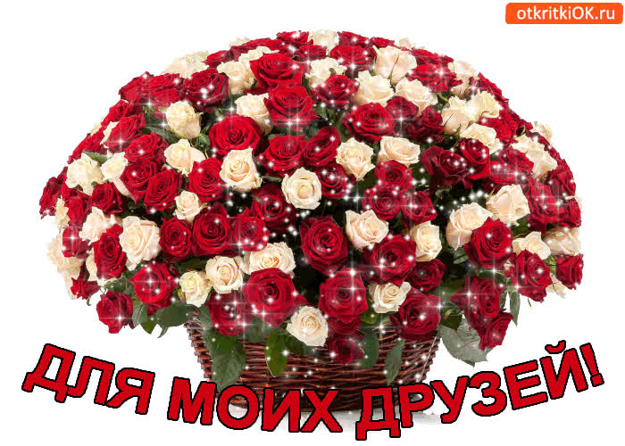 Картинка для моих друзей!