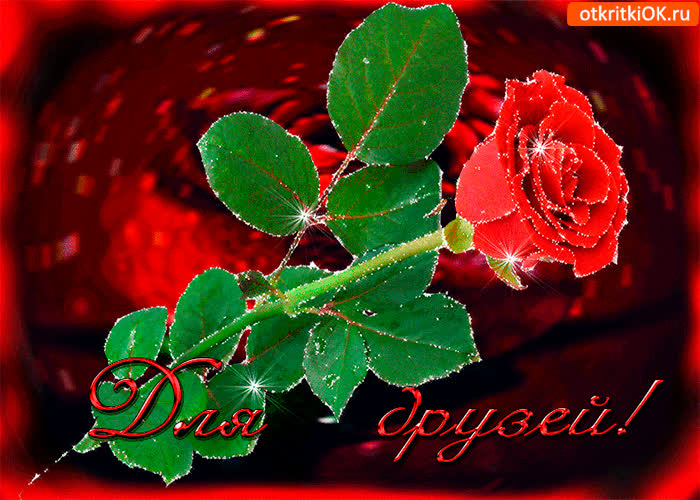 Картинка для самых преданных друзей