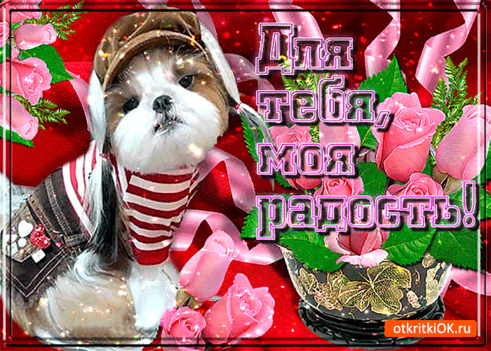 Картинка для тебя, моя радость
