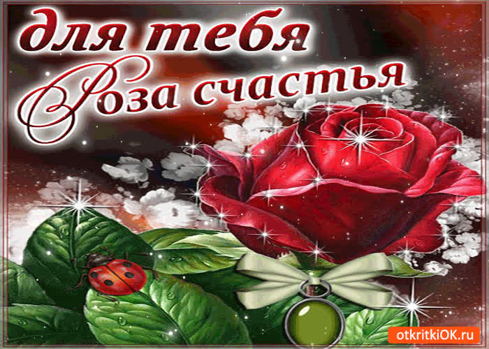 Картинка для тебя роза счастья