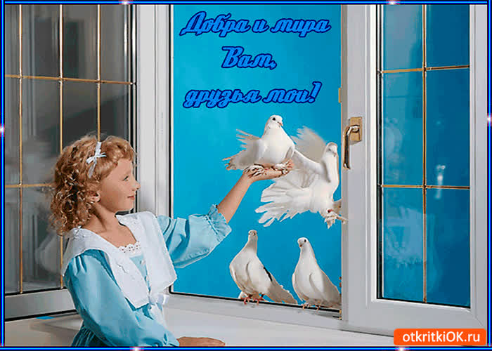 Картинка добра и мира вам друзья мои