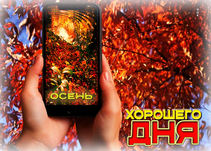 Picture добрая, сказочная осенняя гифка хорошего дня