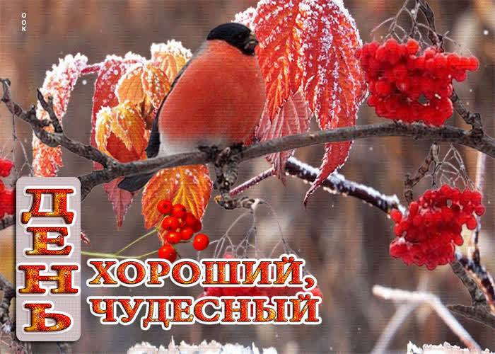 Picture добродушная анимационная открытка день хороший, чудесный