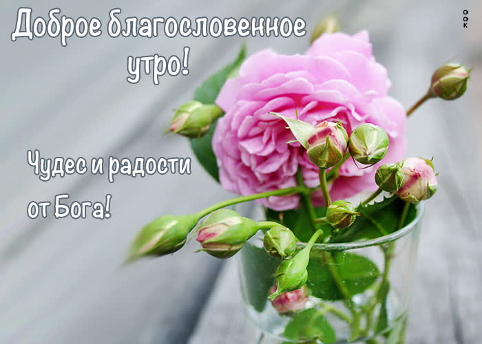 Picture доброе благословенное утро! чудес и радости от бога!