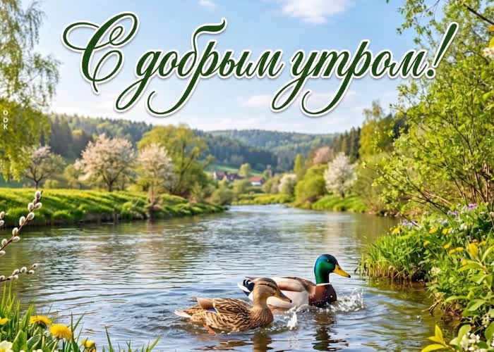 Postcard доброе утро и прекрасного настроения на весь день