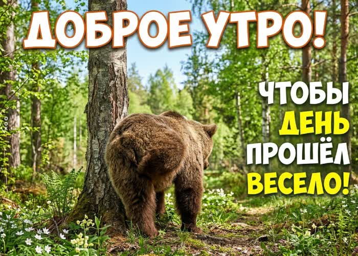 Picture доброе утро и улыбок