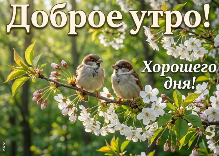 Postcard доброе утро и вдохновения