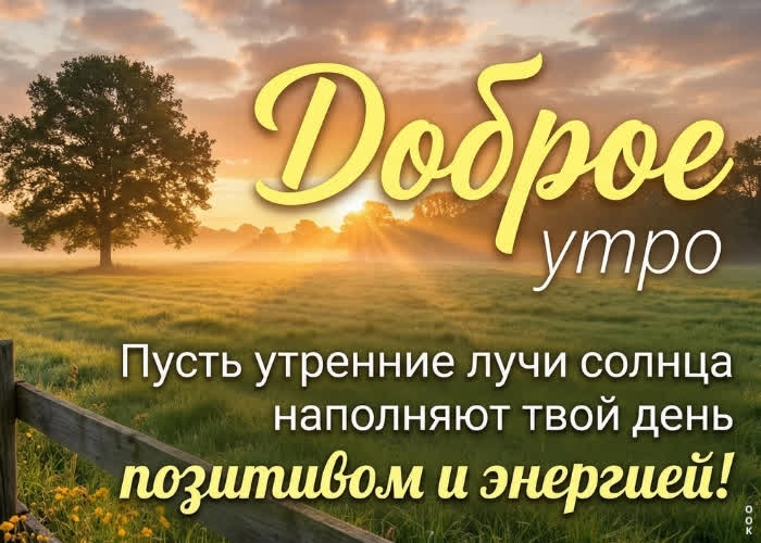 Postcard доброе утро! лови летнее настроение.