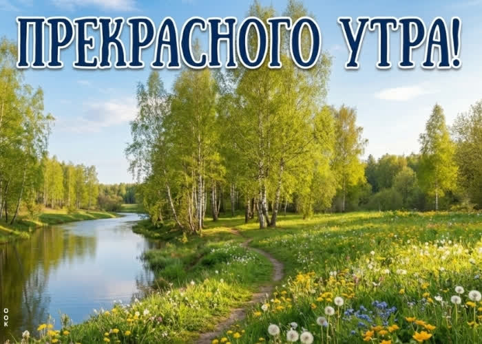 Postcard доброе утро! наслаждайся летом.
