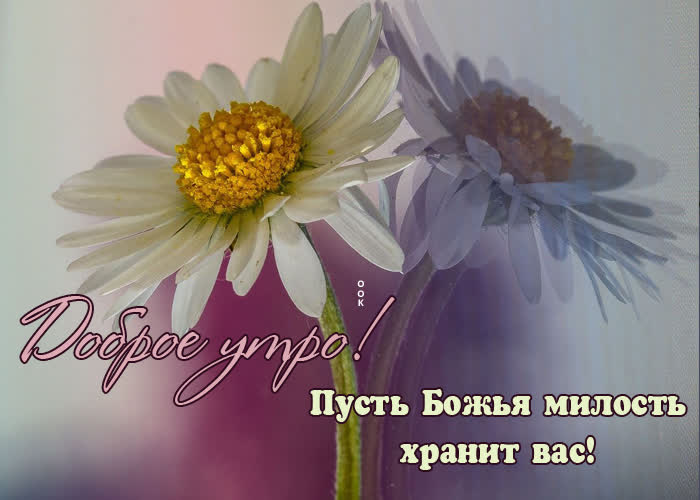 Postcard доброе утро! пусть божья милость хранит вас!