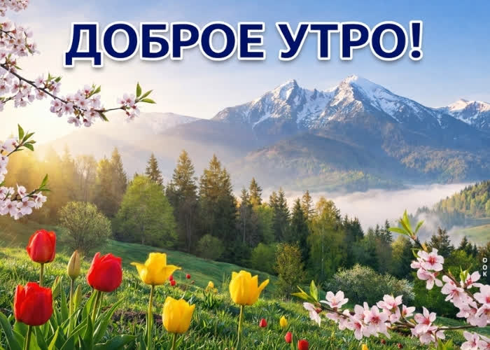 Picture доброе утро! пусть сегодня всё будет вовремя и к лучшему