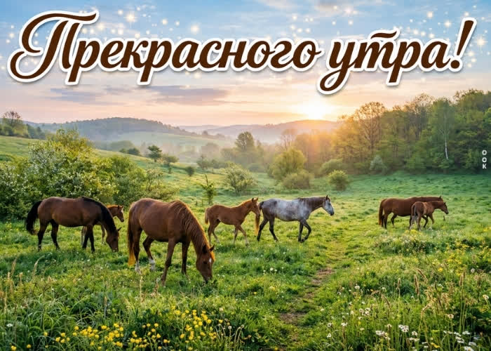 Picture доброе утро! пусть всё получится.