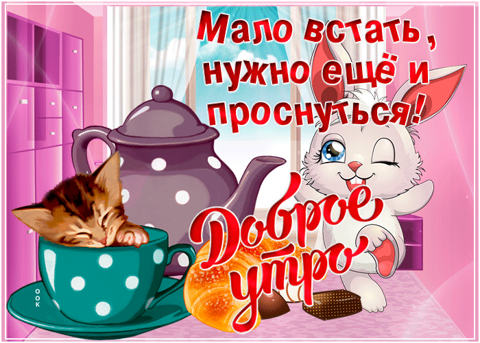 Картинка доброе утро тебе друг
