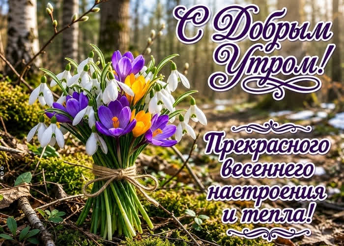Picture доброе утро! желаю, чтобы оно принесло новые радости, новое, прекрасное настроение