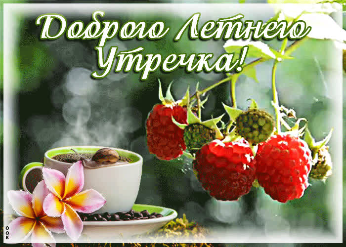 Картинка доброго летнего утречка