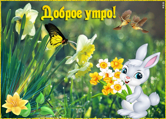 Открытка доброго утра и ясного неба