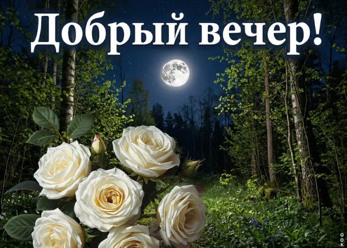 Picture доброго вечера и хорошего настроения