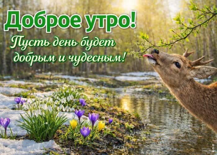 Picture доброго весеннего утра! пусть впереди ждут только приятные события и хорошие новости.