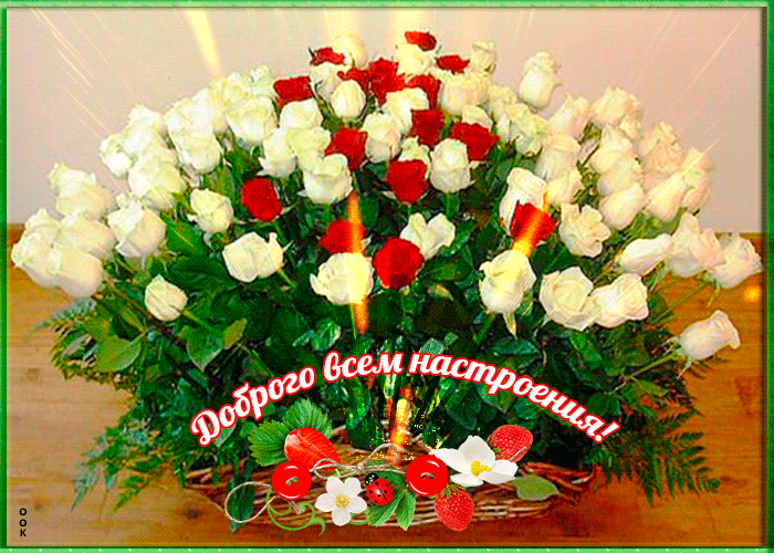 Картинка доброго всем настроения