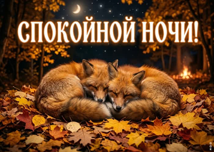 Postcard доброй ночи и красивого осеннего настроения.