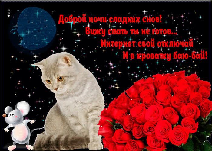 Картинка доброй ночи и сладких снов