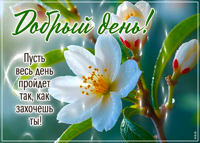 Postcard добрый день! пусть весь день пройдет так, как захочешь ты