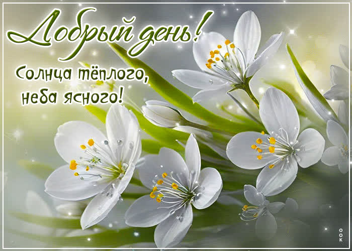 Postcard добрый день! солнца теплого, неба ясного