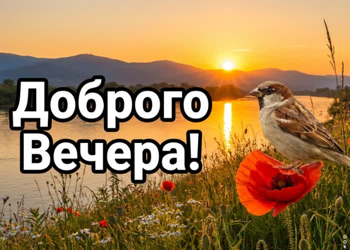Postcard добрый вечер! пусть заботы уйдут.