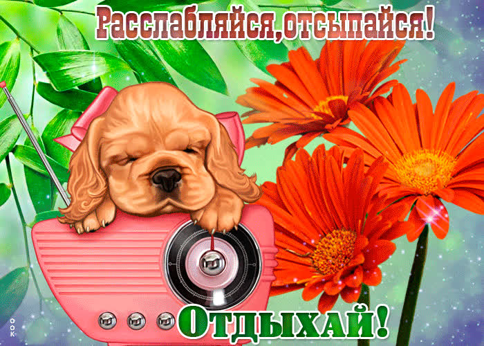 Картинка добрых выходных