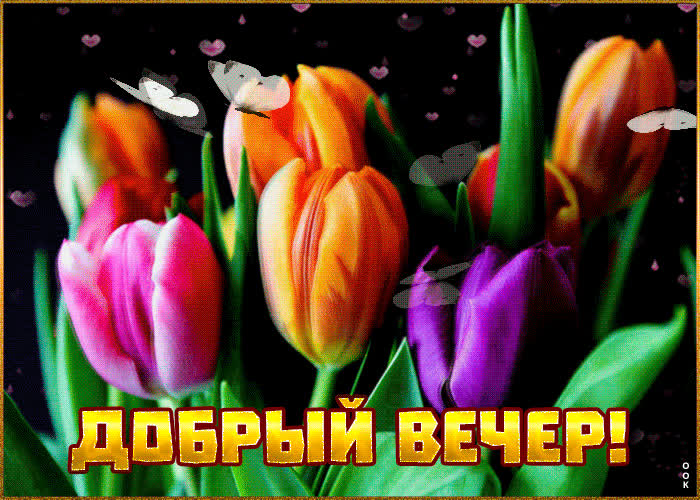 Картинка добрым людям - добрый вечер