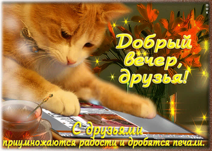 Картинка добрый вечер друзья, хорошего настроения