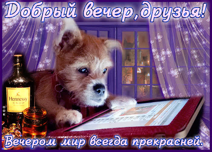 Картинка добрый вечер друзья, вечером мир всегда прекрасней