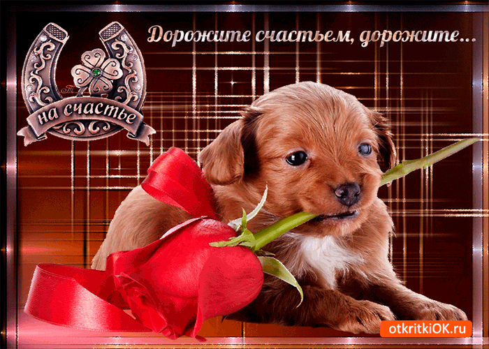 Открытка дорожите счастьем