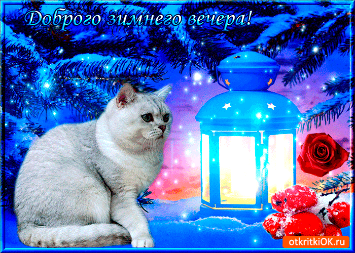Картинка доброго зимнего вечера